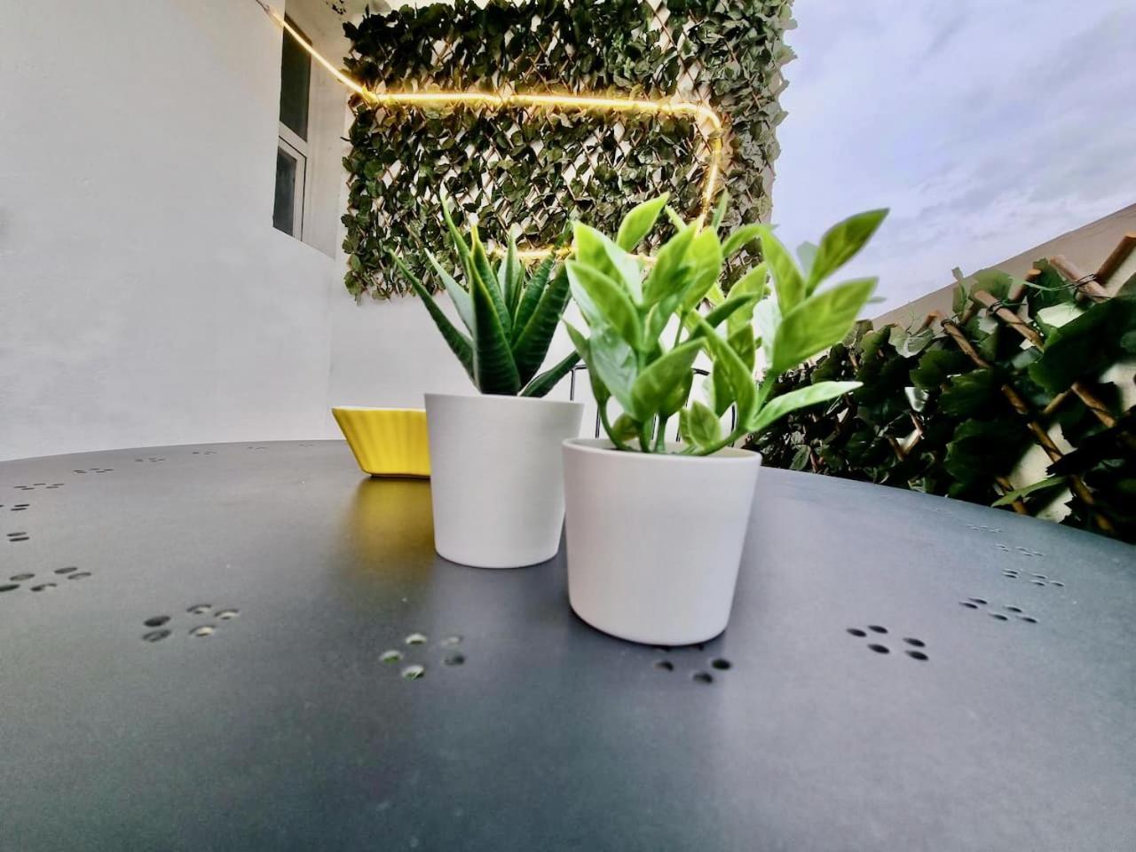 Apartamento Daniel Zaragoza Exteriér fotografie
